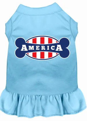 Bonely In America Screen Print Dress Baby Blue Sm (10)