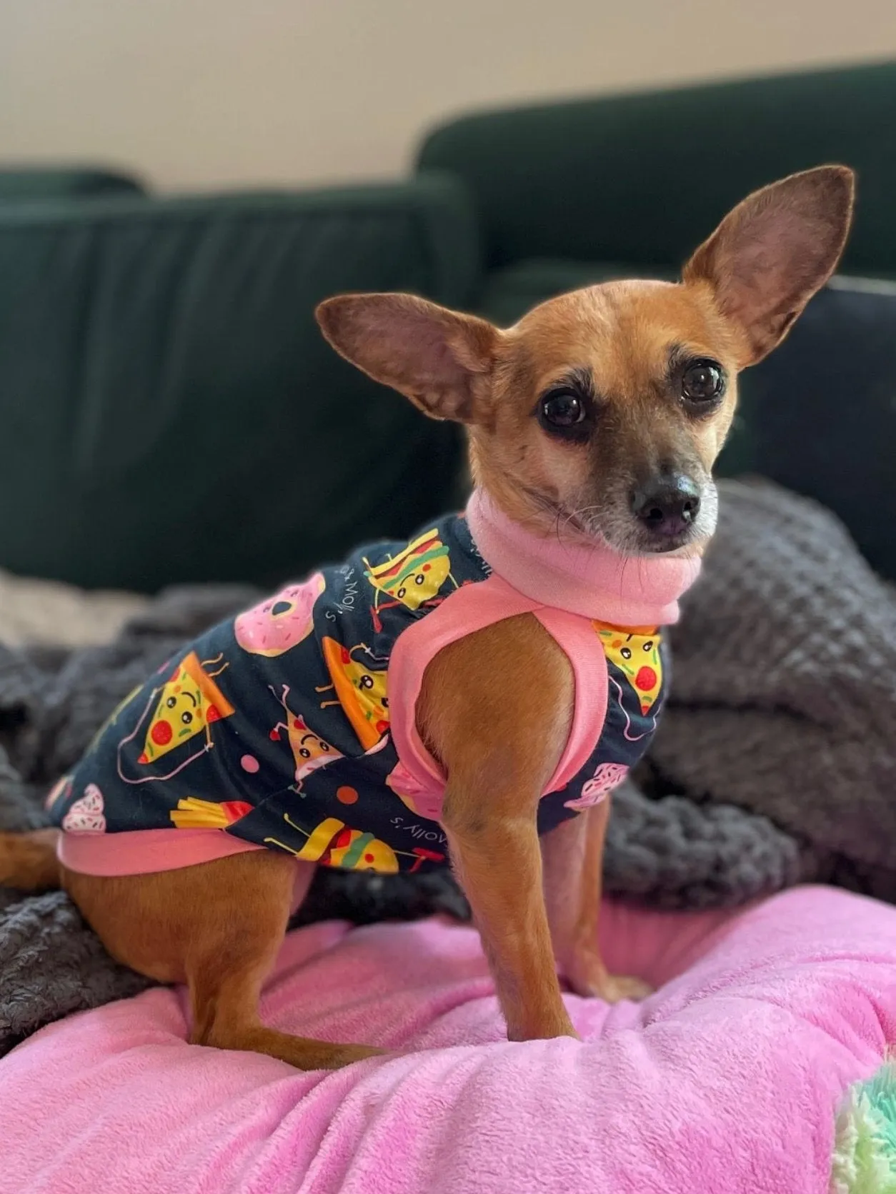 Fitness Junkies (Branded) Dog Pajamas