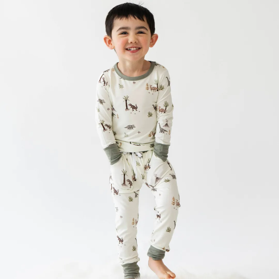 Long Sleeve PJ Set - Dinoland