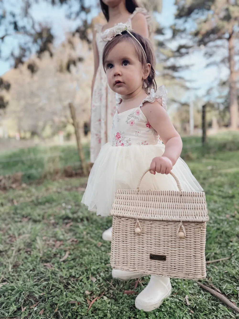 Sadie Baby Tutu Dress