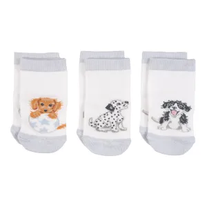 Wrendale 0-6 Months Little Paws Baby Sock